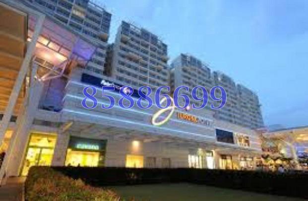 Blk 628 Jurong West Street 65 (Jurong West), HDB Executive #149819962